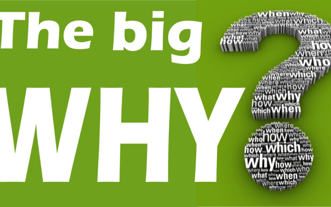 Is Your Business Founded on Your Why”?”